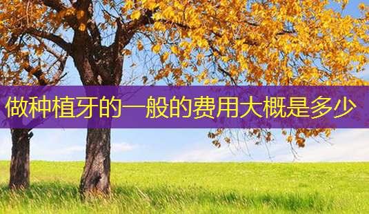 做种植牙的一般的费用大概是多少-第1张图片-美呗严选网 做种植牙的一般的费用大概是多少-第1张图片-美呗严选网
