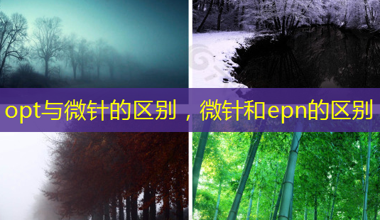 opt与微针的区别，微针和epn的区别-第1张图片-美呗严选网