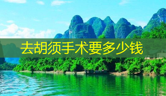 去胡须手术要多少钱-第1张图片-美呗严选网 去胡须手术要多少钱-第1张图片-美呗严选网