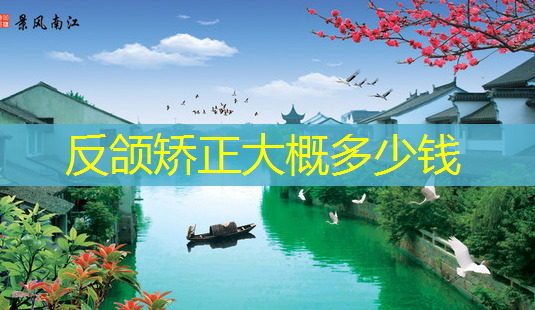 反颌矫正大概多少钱-第1张图片-美呗严选网 反颌矫正大概多少钱-第1张图片-美呗严选网