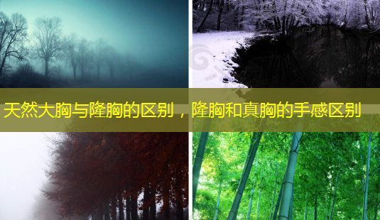 天然大胸与隆胸的区别,隆胸和真胸的手感区别-第1张图片-美呗严选网 天然大胸与隆胸的区别,隆胸和真胸的手感区别-第1张图片-美呗严选网