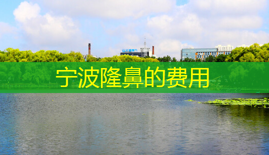 宁波隆鼻的费用-第1张图片-美呗严选网 宁波隆鼻的费用-第1张图片-美呗严选网