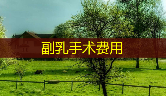 副乳手术费用-第1张图片-美呗严选网 副乳手术费用-第1张图片-美呗严选网
