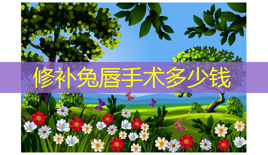 修补兔唇手术多少钱-第1张图片-美呗严选网 修补兔唇手术多少钱-第1张图片-美呗严选网