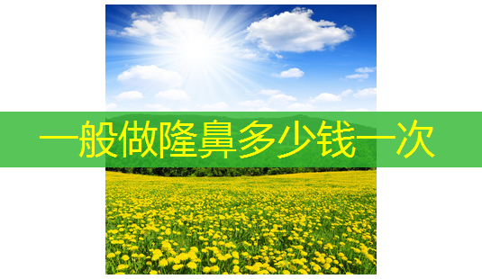 一般做隆鼻多少钱一次-第1张图片-美呗严选网 一般做隆鼻多少钱一次-第1张图片-美呗严选网