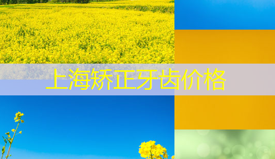 上海矫正牙齿价格-第1张图片-美呗严选网 上海矫正牙齿价格-第1张图片-美呗严选网