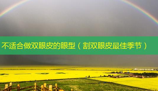 不适合做双眼皮的眼型(割双眼皮佳季节)-第1张图片-美呗严选网 不适合做双眼皮的眼型(割双眼皮佳季节)-第1张图片-美呗严选网