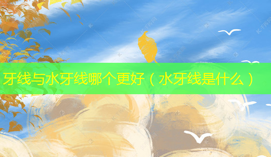 牙线与水牙线哪个更好(水牙线是什么)-第1张图片-美呗严选网 牙线与水牙线哪个更好(水牙线是什么)-第1张图片-美呗严选网