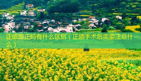 正颌跟正畸有什么区别(正颌手术后需要注意什么)-第1张图片-美呗严选网 正颌跟正畸有什么区别(正颌手术后需要注意什么)-第1张图片-美呗严选网