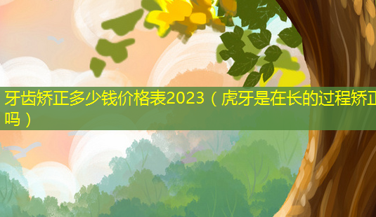 牙齿矫正多少钱价格表2023(虎牙是在长的过程矫正吗)-第1张图片-美呗严选网 牙齿矫正多少钱价格表2023(虎牙是在长的过程矫正吗)-第1张图片-美呗严选网