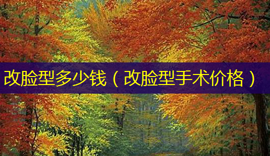 改脸型多少钱(改脸型手术价格)-第1张图片-美呗严选网 改脸型多少钱(改脸型手术价格)-第1张图片-美呗严选网