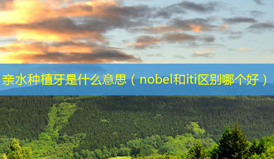 亲水种植牙是什么意思(nobel和iti区别哪个好)-第1张图片-美呗严选网 亲水种植牙是什么意思(nobel和iti区别哪个好)-第1张图片-美呗严选网