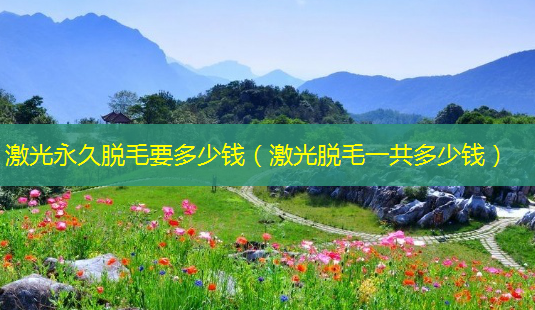 激光永久脱毛要多少钱(激光脱毛一共多少钱)-第1张图片-美呗严选网 激光永久脱毛要多少钱(激光脱毛一共多少钱)-第1张图片-美呗严选网