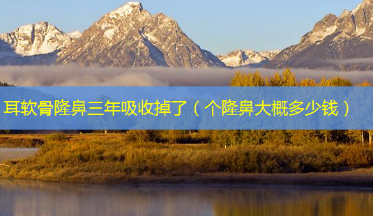 耳软骨隆鼻三年吸收掉了(个隆鼻大概多少钱)-第1张图片-美呗严选网 耳软骨隆鼻三年吸收掉了(个隆鼻大概多少钱)-第1张图片-美呗严选网
