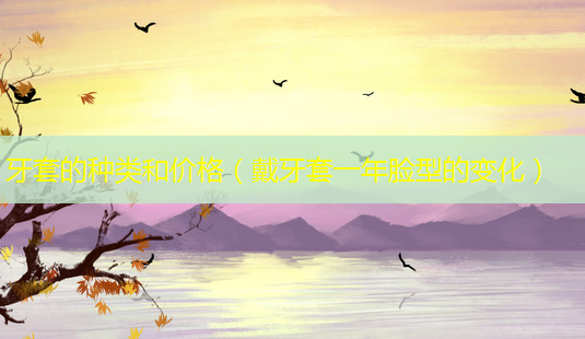 牙套的种类和价格(戴牙套一年脸型的变化)-第1张图片-美呗严选网 牙套的种类和价格(戴牙套一年脸型的变化)-第1张图片-美呗严选网