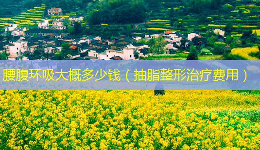 腰腹环吸大概多少钱(抽脂整形费用)-第1张图片-美呗严选网 腰腹环吸大概多少钱(抽脂整形费用)-第1张图片-美呗严选网