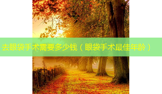 去眼袋手术需要多少钱(眼袋手术佳年龄)-第1张图片-美呗严选网 去眼袋手术需要多少钱(眼袋手术佳年龄)-第1张图片-美呗严选网