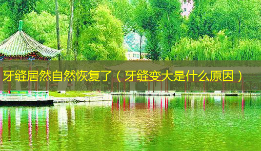 牙缝居然自然恢复了(牙缝变大是什么原因)-第1张图片-美呗严选网 牙缝居然自然恢复了(牙缝变大是什么原因)-第1张图片-美呗严选网