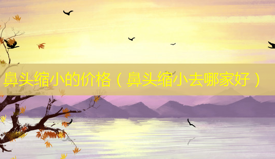 鼻头缩小的价格(鼻头缩小去哪家好)-第1张图片-美呗严选网 鼻头缩小的价格(鼻头缩小去哪家好)-第1张图片-美呗严选网